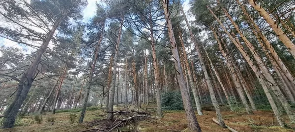 Kirándulás - Robregordo