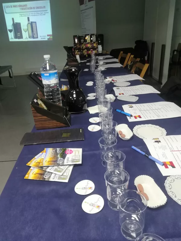 Cata de vinos húngaros y degustación de chocolate