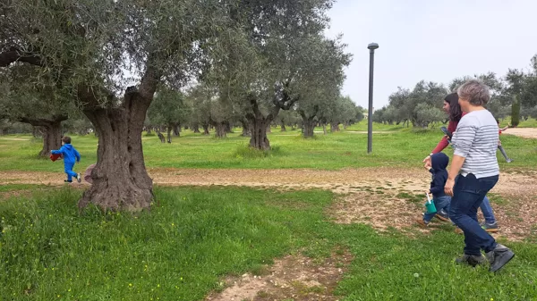 Nyuszi ül a fűben - Madrid
